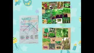 Word Search Puzzles #16 | Topic - Vegetables | Vocabulary Boost