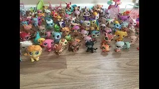 Selling my Lps cheap (more info) over 200 pets!! 2018 OPEN