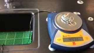 Lab 5A - What is a Newton? (Mass & Weight) - Part 2 - Data