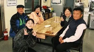 쉼터으자와 폭력적인 동물