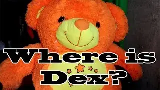 Where is Dex? (Channel Update)