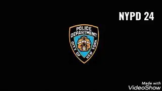 75 & 73 Precinct foot pursuit audio