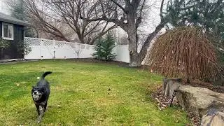Catching ball in the rain
