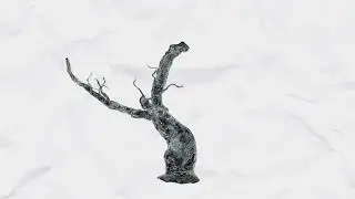 YOUFF - Sunshine (Official Video)