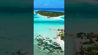 Dream Honeymoon in Meeru Island Maldives 🌴💍#shorts #romantic #travel