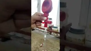 Method of using a pipette and Suction bulb🪠🧫