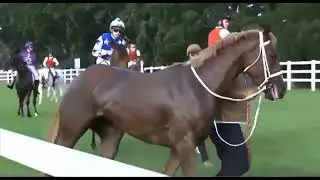 RACE 6 GOLD COAST 10 JAN 2026