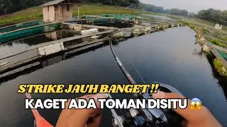 AKHIRNYA SAGULING BANYAK SAMBARAN TOMAN LAGI‼️ MANCING TOMAN PAKAI JORAN WILDJACK 6-12lb‼️