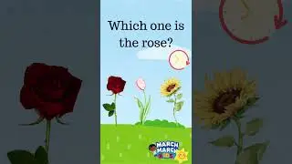 Guess the Flower! | Fun Flower Quiz for Kids 🌸 | Preschool Learning Game