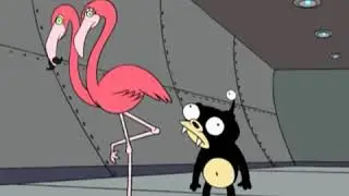 Nibbler Dark Matter