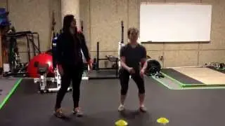 Cueing with reactive training using the OPT model