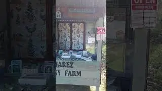 The Official Juarez Funny Farm Stand..Grand Opening 🫡