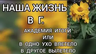 Обзор‼️ Наша жизнь в Германии //Академия, итоги⁉️ В одно ухо влетело в другое вылетело‼️ 