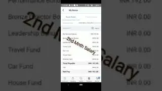 VESTIGE MY INCOME PROOF 🧾 BRONZE DIRECTOR INCOME...