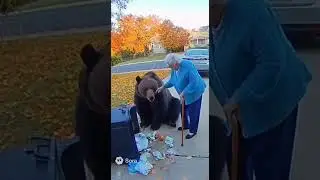 #animalcomedy #funny #lawenforcement #chasefootage #automobile #police #comedychase #animals
