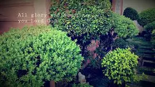 Glimpse of Avida home