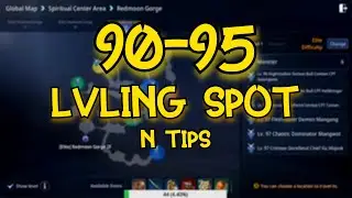 MIR4 90 to 95 LEVELING SPOT