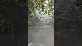 Umrimiz kabi oqmoqda