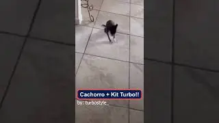 Cachorro + Kit Turbo!!
