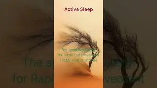 Active sleep 😴😴 #shorts #dictionary #psychologyshorts #sleep