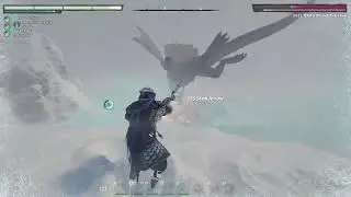 Melee Build and Full Fight of the Fell Dragon Youngling [Default Difficulty]