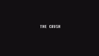 The Crush | Абсурд видео без звука (диалогов) | MUTE SERIES | ОБЯЗАТЕЛЬНО СМОТРЕТЬ ДО КОНЦА