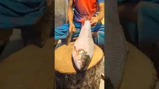 Amazing Rohu Fish Cutting in Bangladesh Fish Market | Expert Butcher Skill #shorts #fishcutting