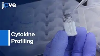 Multiplex Cytokine Profiling Using Cytometric Bead Immunoassay