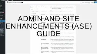 How To Enable/Disable plugin and theme editor ASE Pro