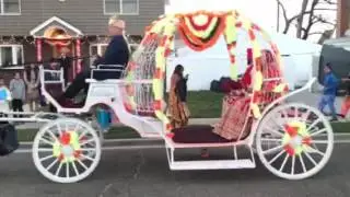 Baraat wedding Horse rental