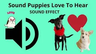 Sound puppy like sound effect (sound puppies love to hear)