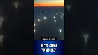 El Mar Oscuro: As&iacute; opera la flota que borra la vida marina frente a Sudam&eacute;rica.