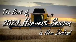The best of 2024 Harvest Season in New Zealand