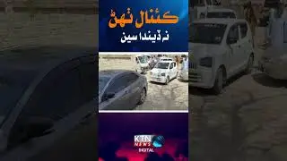 Sindh Protests Against Cholistan Canals | PPP Takes to the Streets