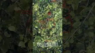 FOCH B Destroys FV215b (183) - World of Tanks  #wot