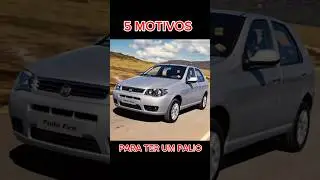 5 MOTIVOS PARA TER UM PALIO