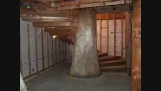 Amazing Double Spiral Log Stairs