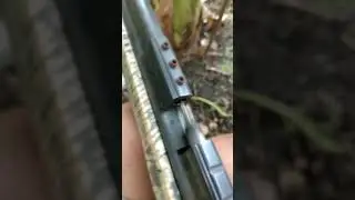 pcp big bore