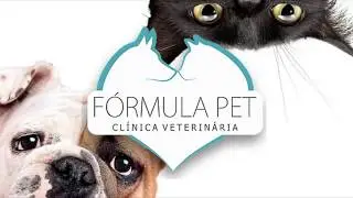 Pet Shop no Campo Belo - F&oacute;rmula Pet