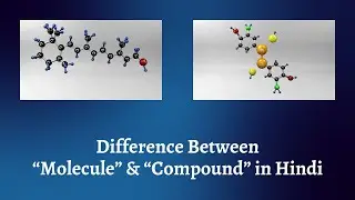 Difference Between Molecule and Compound in Hindi | मॉलिक्यूल और कंपाउंड में अंतर