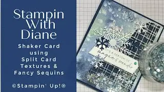 Now What Series?  For Everything Fancy Sequins and Split Texture Dies  Shaker Card