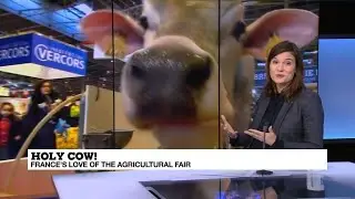 Cute animals and fed-up farmers: Paris&rsquo;s Agricultural Show