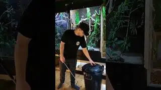 venomous leagel snakes in Denmark