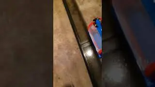 coral snakes are funny