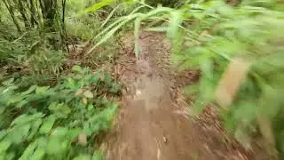 Maragondon trail(June 29,2025)Part 4