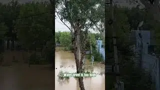 Water level is too high in Punjab at Beas. #disaster
