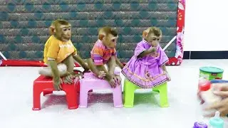 Donal Moly & Zuji Silently Sitting On Chair Wait Milk
