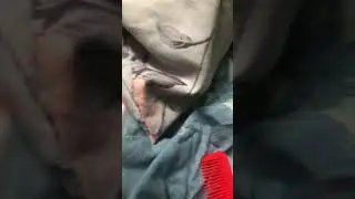 Grandpa POV: #shorts