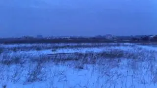 Borzoi runs fast in the snow