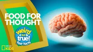 Food For Thought | Weird But True!&mdash;Fast Facts